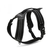 Sport Nylon Reflective Dog Harness