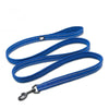 Nylon Dog Leash for Training