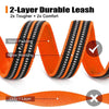 Nylon Dog Leash for Training