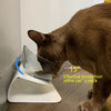 Double Pet Feeding Bowl With Stand