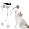 Automatic Ball Electric Lifting Cat Toy