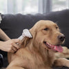 Hair Removal Comb for Pets