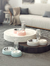 Pet Automatic Feeder Bowl