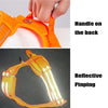 Safety Harness For Dogs