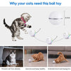 USB Rechargeable Ball Interactive Catnip Toys