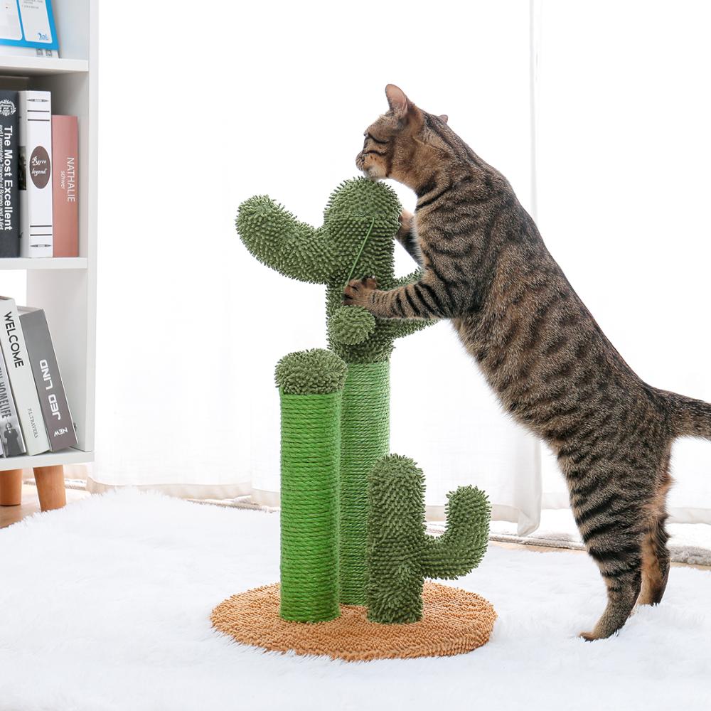 Cactus Tree Toys For Cat