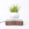 Levitating Air Bonsai Rotation Flower Pot