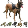 German Shepherd Collar Harness Service