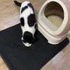 Cat Litter Mat Double Layer Waterproof