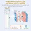 Hydrogen-Rich Mist Sprayer Face Steamer