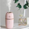 Ultrasonic Aroma Essential Oil Diffuser