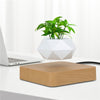 Levitating Air Bonsai Rotation Flower Pot