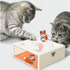 Electric Sqaure Magic Box Cat Hunt Toy