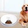 Stainless Steel Smart Automatic Pet Feeder