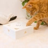 Electric Sqaure Magic Box Cat Hunt Toy