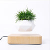 Levitating Air Bonsai Rotation Flower Pot