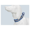 Nylon Adjustable Dog Collars